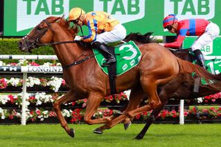 Te Akau Shark (NZ) circled them in the Group 1 Surround Stakes at Randwick.